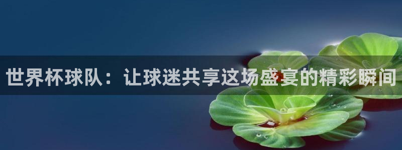 足球世界杯:世界杯球队:让球迷共享这场盛宴的精彩瞬间