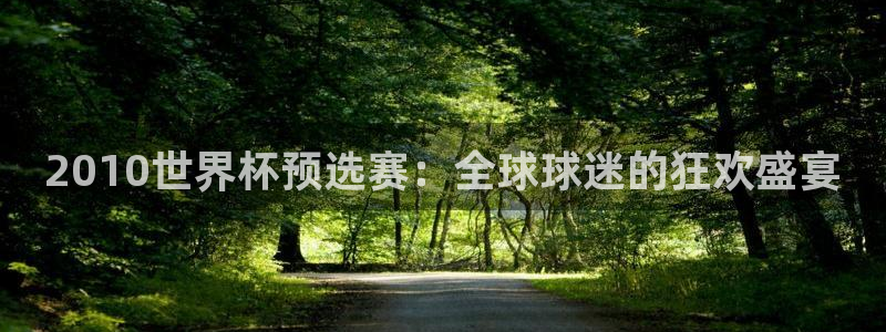 世界杯比赛赛程:2010世界杯预选赛:全球球迷的狂欢盛宴