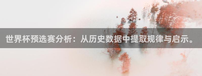 2026世界杯赛制:世界杯预选赛分析:从历史数据中提取规律与启示。