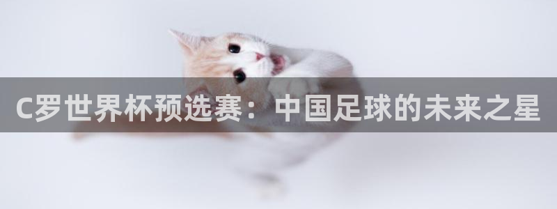 世界杯直播:C罗世界杯预选赛:中国足球的未来之星