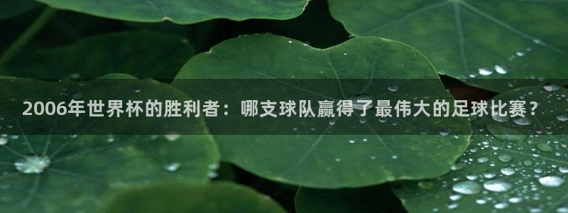 世界杯决赛圈球队:2006年世界杯的胜利者:哪支球队赢得了最伟大的足球比赛?