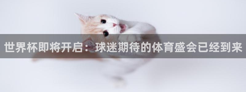 世界杯对阵表:世界杯即将开启:球迷期待的体育盛会已经到来