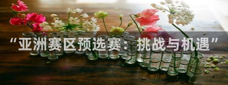 世界杯2026赛制:“亚洲赛区预选赛:挑战与机遇”